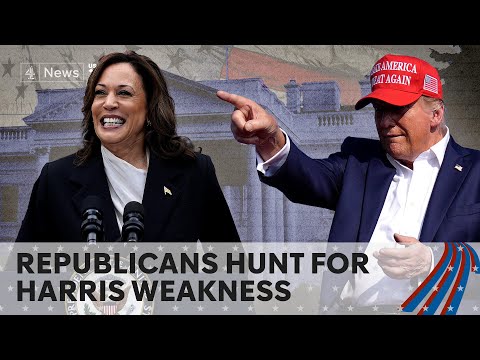 Kamala Harris brings youth, money and momentum to fight with Trump