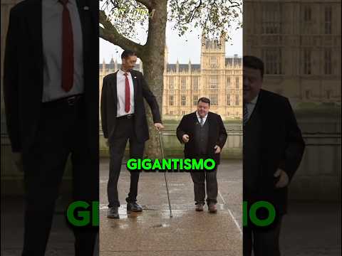 ¡Los Récords Mundiales Más Locos… El Último Te Dejará Atónito!