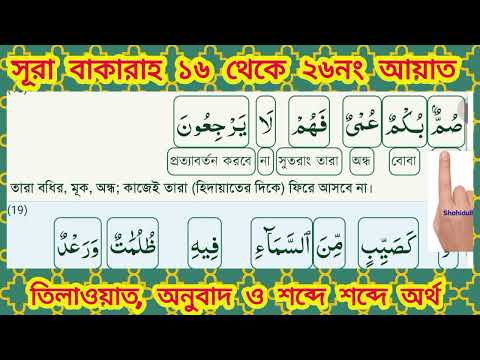 🌹সূরা বাকারাহ। তিলাওয়াত, অনুবাদ ও শব্দে শব্দে অর্থ।👉Shahidullah