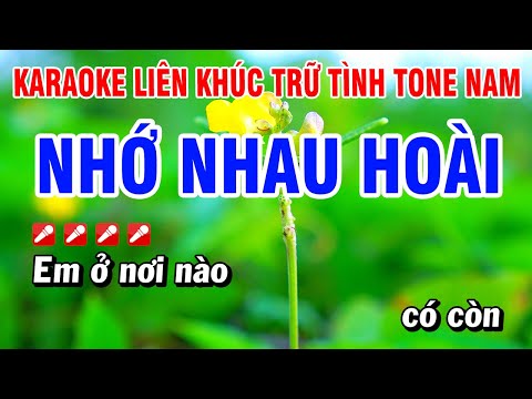 Karaoke Liên Khúc Nhạc Trữ Tình Tone Nam Dễ Hát – Nhớ Nhau Hoài | Hoài Phong Organ