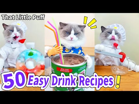 Meow Chef: 50 Easy Drink Recipes!🍹 | That Little Puff