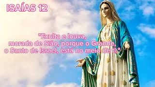 Boa tarde NOSSA SENHORA DE ITAMARAJU. INTERCEDA POR NOSSA FAMÍLIA