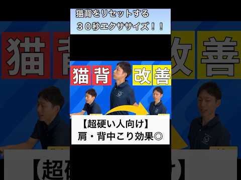 【超硬い人向け】背中が伸びる肩甲骨はがしエクササイズ   #胸郭 #肩甲骨はがし #胸椎 #肋骨 #胸郭出口症候群 #整体 #shorts