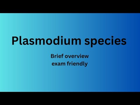 Plasmodium species || Quick overview and Exam friendly.