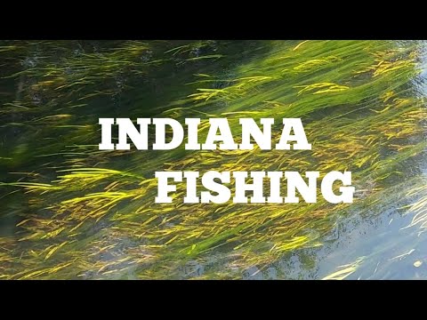 🔴INDIANA FISHING WITH COLD WATER AQUATICS #bassfishing #creekfishing 

COLD WATER AQUATICS https_//youtube.com/user/MrBeeznutz



FOLLOW ME ON