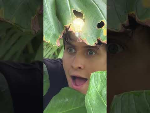 ahora voy ayudar a un seguidor que haga viral este video!