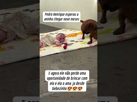 que  amor 💘 puro