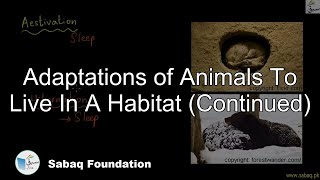More on Adaptations of Animals to Live in a Habitat