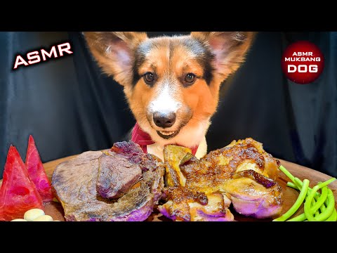 ASMR Mukbang Food 🐕 Corgi Dog Eating 12 🐕