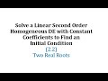 Differential Equations Initial Conditions