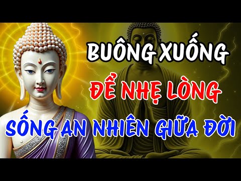 Phật Dạy: Buông Xuống Để Nhẹ Lòng | Giúp Bạn Sống An Nhiên Giữa Đời Vô Thường