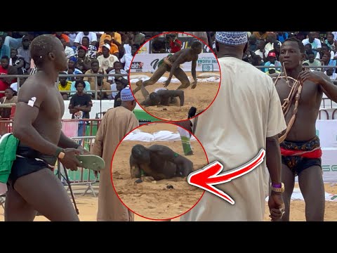 Fils de Tigre danou ba diakhane wés wés bi allakhou akbar😱Boye kâ bandi la deh kawtéf