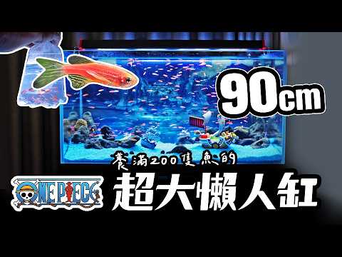 廢棄多年的魚缸如何重新開始？從0到200隻魚的翻新過程！90 cm One Piece fish tank