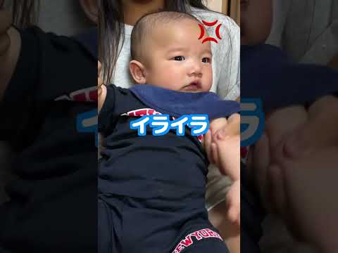 今バズり中のイ、イ、イライラ音源で最後3ヶ月の太鳳が日頃のイライラをぶつけてみたww #Shorts #赤ちゃん #癒し #太鳳