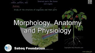 Morphology, Anatomy and Physiology