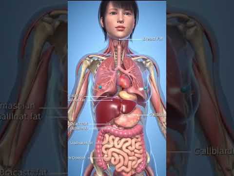 #woman#vidios #trending #vidioviral #motivation #helth #subescribe #normal #body#human