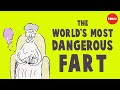 Animal Flatulence: Nature's Unexpected Tool