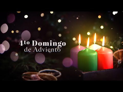 Cuarto Domingo de Adviento, Domingo 22 Diciembre 2024 🕯️🎄 Padre Luis Vivó #TeleVID #Adviento2024