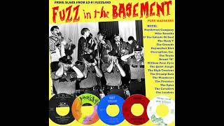 Fuzz In The Basement (Prime Slabs From Lo-Fi Fuzzland) 60s GARAGE COMPILATION