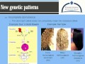 Exploring Keystone 7: Genetics Concepts