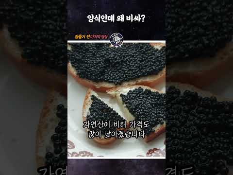 양식인데 왜 비싸? (캐비어) #Shorts
