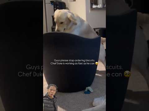 Didn’t know we was going replace the cook on his first day💀