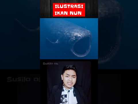 IKAN NABI YUNUS /IKAN NUN.? #shorts