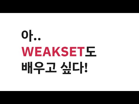 아 WeakSet도 배우고 싶다