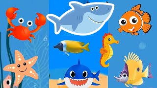 Baby Shark do do do Song Dance under seaworld with Animals Sea Dolphin octopus colors fish