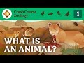 Evolutionary Biology Concepts