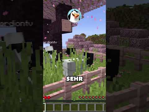 @tordishorts muss mich finden in Minecraft!? 😳 #minecraft #shorts #minecraftshorts