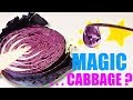 Red Cabbage Juice Chemistry