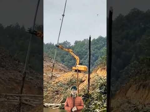 Cái kết của bác tài xe máy xúc khi phá tổ ong