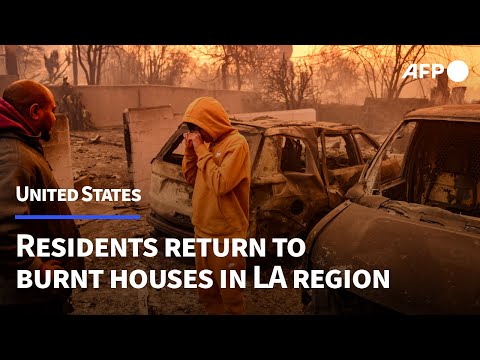 'We've lost everything': Residents return to homes burnt in Los Angeles | AFP