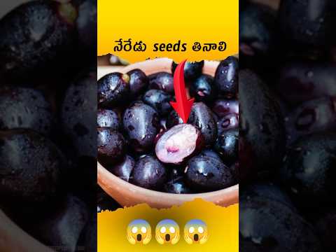 🤯Jamun Seed Powder health Benifits | Telugu facts | jamun fruit