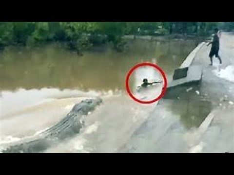 Incredible Moments Caught On Camera