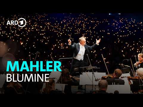 Mahler - Blumine | Roland Böer | Staatsphilharmonie Nürnberg | BR-KLASSIK