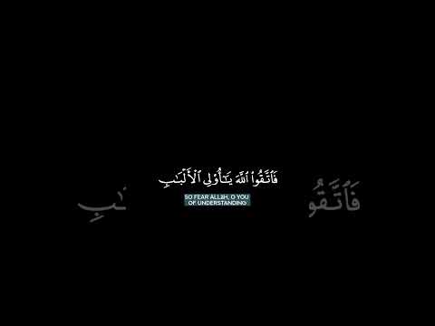 القارئ فارس عباد صوت جميل راحه نفسيه #اكسبلور #تصميمي