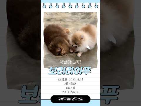 날 좋아해주는 칭구 만난날🤍