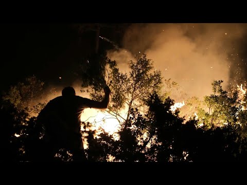 Locals and firefighters battle flames around Turkey's Bursa | AFP