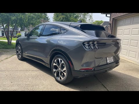 Mustang Mach E Wheel and Tire Care Chemical Guys Diablo Gel And Turtle Wax Hybrid Solutions Spray