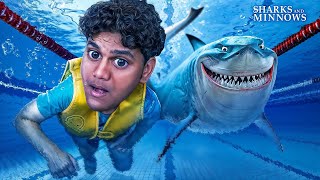 SWIM FAST OR DIE | Sharks & Minnows