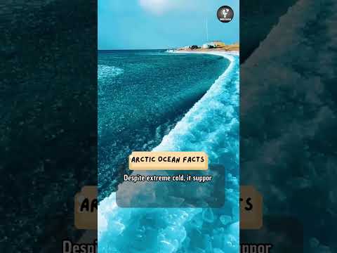 Arctic Ocean Facts #shorts #facts #arctic #arcticocean