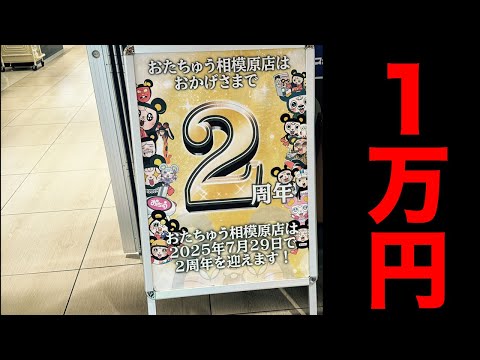 「夏休みスタート」相模原おたちゅうでクレーンゲーム10,000円UFOキャッチャーやるぞ