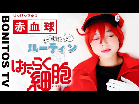 【はたらく細胞】白血球 赤血球 1日のルーティン やってみた！コスプレで実写再現！ Cosplay Cells at Work! アニメ 映画 コミック ♥ -Bonitos TV- ♥