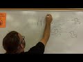 Charles Darwin and Evolution
