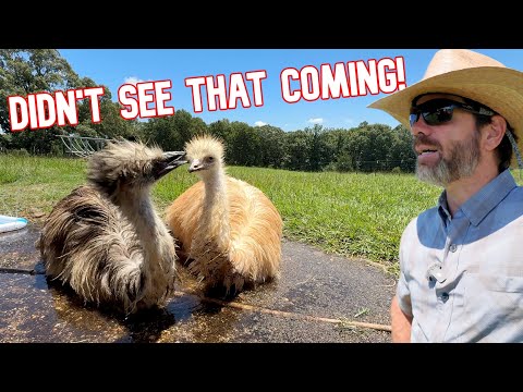 You Won’t Believe What These 2 Just Did!