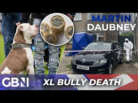 Could the Government make ALL dog owners pay for XL Bully attacks? - 'This could get much worse!'