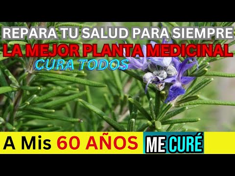 ¡ESTA Es LA MEJOR PLANTA ANTIGUA del Mundo Para la SALUD, Plantas Con Poderes !