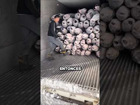 Vaciando Un camión Lleno En Cuestión de Segundos 😱